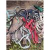 Image 3 : Horse Tack Including Halters and Lead Ropes
