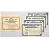Image 1 : NY. Fireproofing Manufacturing Co., 1904, I/U Stock Assortment.