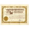 Image 1 : CO. Cripple Creek Consolidated Mining Co., 1907, I/U Stock Certificate.