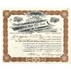 Image 1 : CO. Little Bull Hill Gold Mining Co., 1896, I/U Stock Certificate.