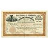 Image 1 : MT. Butte & Montana Commercial Co., 1893, I/U Stock Certificate.