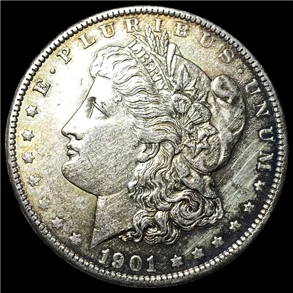 1901 Silver Morgan Dollar HIGH GRADE