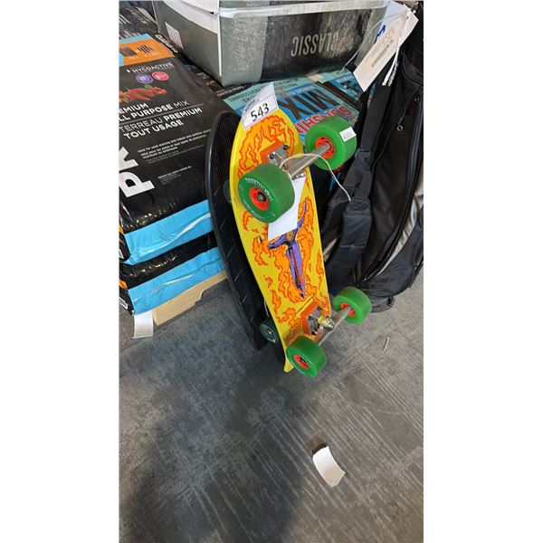2 PUNK POINT SKATE BOARDS
