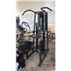 Image 1 : STAIRMASTER GRAVITRON 2000 CLASSIC WEIGHT-ASSISTED PULL-UP AND DIP MACHINE