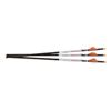 Image 1 : RAVIN LIGHTED ARROWS 500GR HD 3PK .001