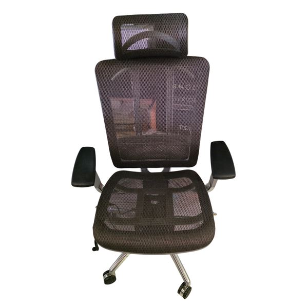 Future Ergonomic Mesh Office Chair with Lumbar Support
