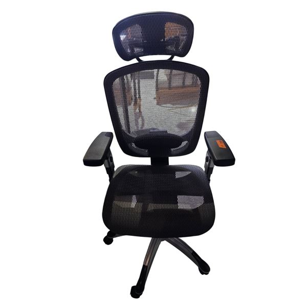 Future Ergonomic Mesh Office Chair with Lumbar Support