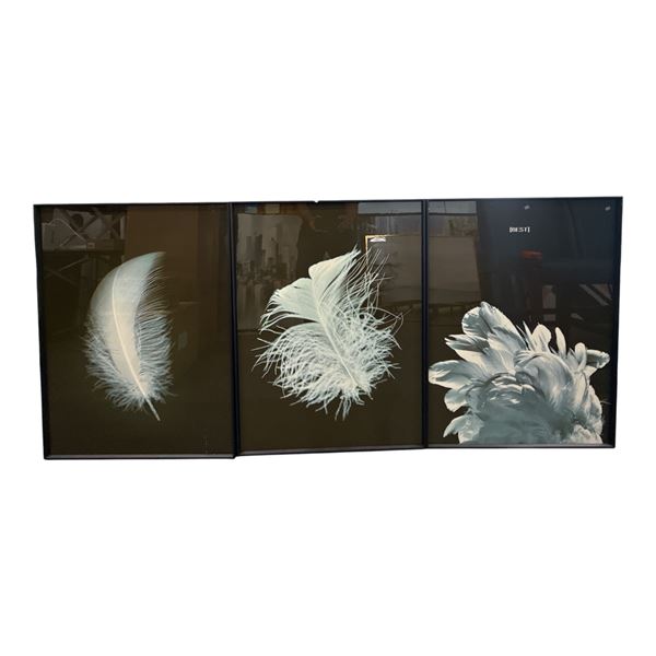 3-Piece Triptych Feather Wall Art Set - 24" x 32" (All 3)