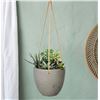 Image 2 : 2-Pcs BNIB - LH Home Classic Medium Hanging Pot - Wash White, RV: $157.5 CAD (PAT020-M) - 9.8 x 9.8 