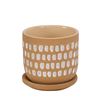 Image 1 : BNIB - Moe's Home Collection - Botanical Planter - Natural - VZ-1029-24 - 4.5"W x 4.5"D x 4.5"H