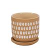 Image 1 : BNIB - Moe's Home Collection - Botanical Planter - Natural - VZ-1029-24 - 4.5"W x 4.5"D x 4.5"H