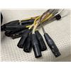 Image 6 : Qty 2 Carvin SNK8P 8-Channel Recording & PA Snake Cable Systems in Husky Bag