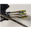 Image 3 : PSE Archery Bow & Arrows