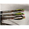 Image 4 : PSE Archery Bow & Arrows