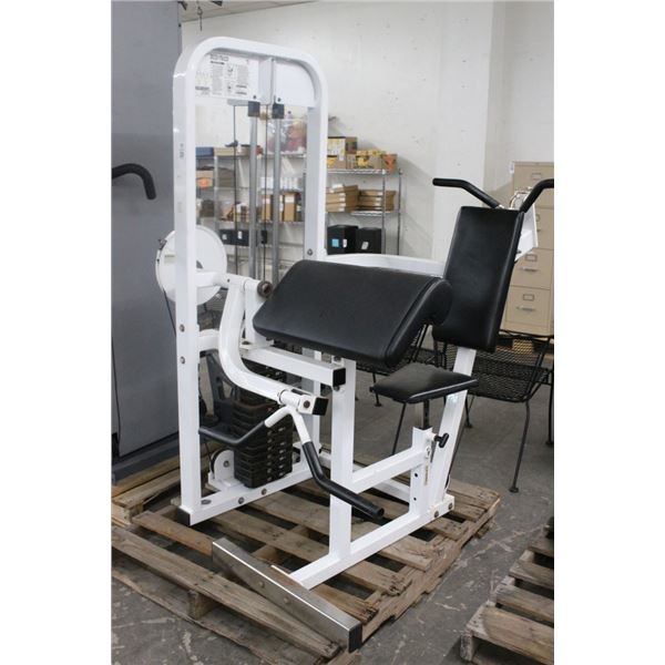 Paramount Stack Weight Bicep/Tricep Workout Unit