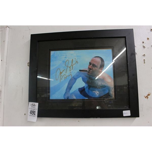 James Gandolfini Autographed Photo w/COA