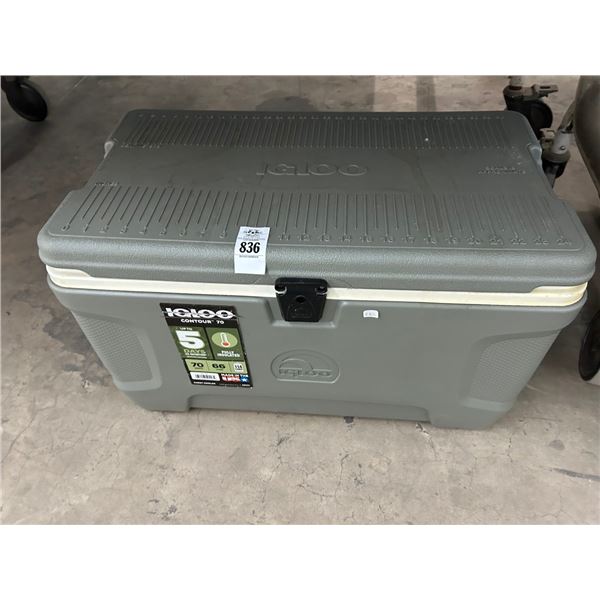 Igloo Grey Cooler