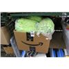 Image 1 : Large Box New Work Gloves