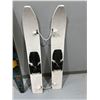 Image 2 : Water Ski's