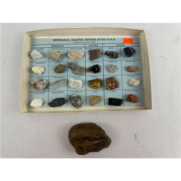 Fossil, Minerals, Agates, Rocks of the USA