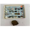 Image 1 : Fossil, Minerals, Agates, Rocks of the USA