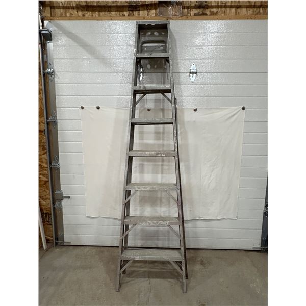 Featherlight Extension Ladder