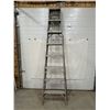 Image 1 : Featherlight Extension Ladder