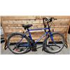 Image 1 : DIAMONDBACK DB TRAVERSE 18 SPEED BIKE