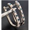 Image 2 : 14K(1.75G), NATURAL DIAMOND (0.15CT) EARRING, APPRAISED INSURANCE VALUE $1855