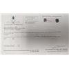 Image 2 : 10K(1.14G), BLACK DIAMOND (2CT) EARRING, APPRAISED INSURANCE VALUE $1460