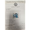 Image 2 : 10K(1.11G), BLUE ZIRCON (4.3CT) PENDANT, APPRAISED INSURANCE VALUE $1000