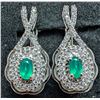 Image 1 : SILVER(5G),  GREEN ONYX (0.5CT) EARRING, SUGGESTED RETAIL VALUE $400