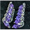 Image 1 : SILVER(4.95G), AMETHYST(APP2.5CT) EARRING, SUGGESTED RETAIL VALUE $400
