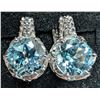 Image 1 : SILVER(4.8G), BLUE TOPAZ(4CT) EARRING, SUGGESTED RETAIL VALUE $400