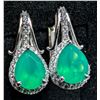Image 1 : SILVER(4.16G), GREEN ONYX(3CT) EARRING, SUGGESTED RETAIL VALUE $320