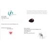 Image 3 : 8.59 CT CERTIFIED MADAGASCAR RUBY GEMSTONE ($9,900 APPRAISAL): *APPRAISAL NOT GUARANTEED*