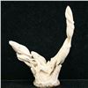 Image 1 : CARVED ANTLER SCULPTURE OF A HUMPBACK WHALE POD