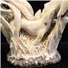 Image 5 : CARVED ANTLER SCULPTURE OF A HUMPBACK WHALE POD