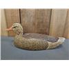 Image 1 : CARVED WOOD MALLARD HEN DUCK DECOY