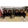 Image 6 : (2) CHINESE MOTIF PAINTED 2-DRAWER 2-DOOR CABINETS 29" X 16" X 24"