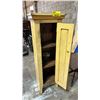 Image 3 : 1-DOOR CABINET 16" X 11" X 49"