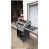 Image 3 : COLEMAN NATURAL GAS BARBECUE