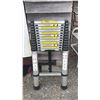 Image 1 : ALUMINUM 14' TELESCOPIC LADDER