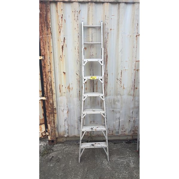 13 FOOT ALUMINUM EXTENSION LADDER