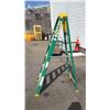 Image 2 : 6' FEATHERLITE FIBERGLASS STEPLADDER