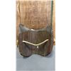 Image 4 : SMALL HAND CARVED FIRST NATIONS WOOD EAGLE MASK