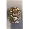 Image 3 : TAXIDERMIED TURTLE SHELL