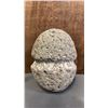 Image 1 : INDIGENOUS NET WEIGHT