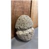 Image 2 : INDIGENOUS NET WEIGHT