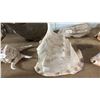 Image 3 : 7" HORNED HELMET CONCH SHELL